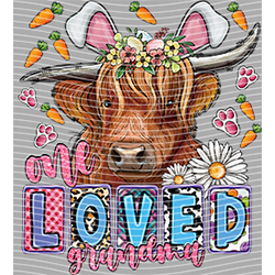 Cow-NIU 2593